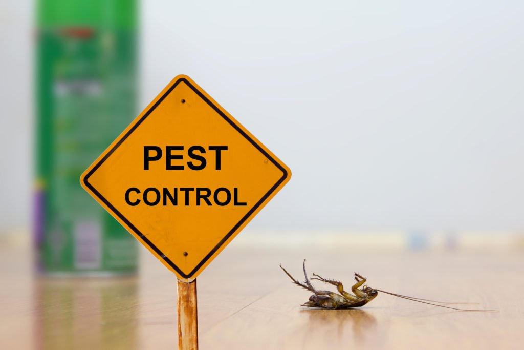 best commercial pest control